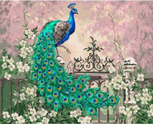 Load image into Gallery viewer, Diy Frame Peacock DIY Painting By Numbers
